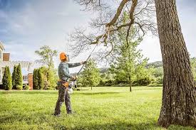 How Our Tree Care Process Works  in Ormond By The Sea, FL